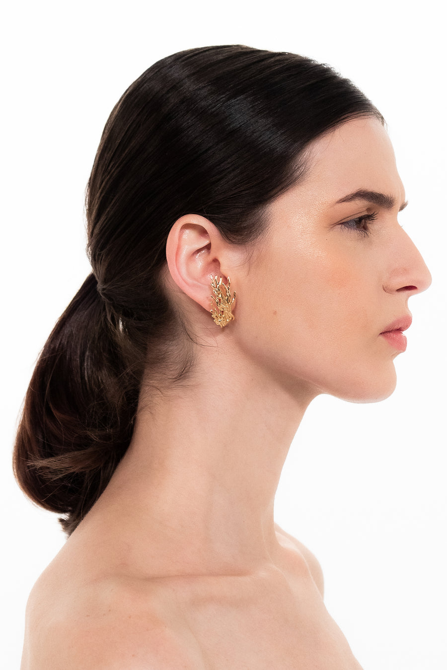 Earhook Raizes