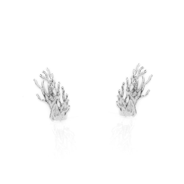 Earhook Raizes Prata