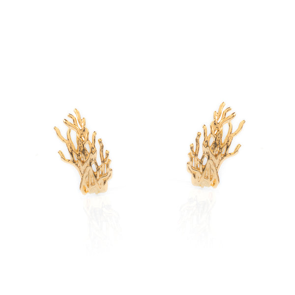 Earhook Raizes