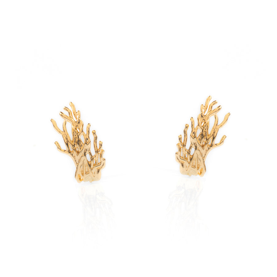 Earhook Raizes