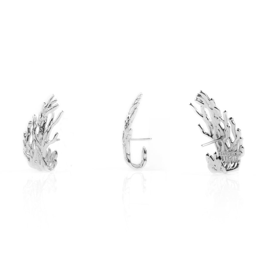 Earhook Raizes Prata