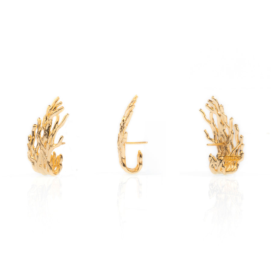 Earhook Raizes